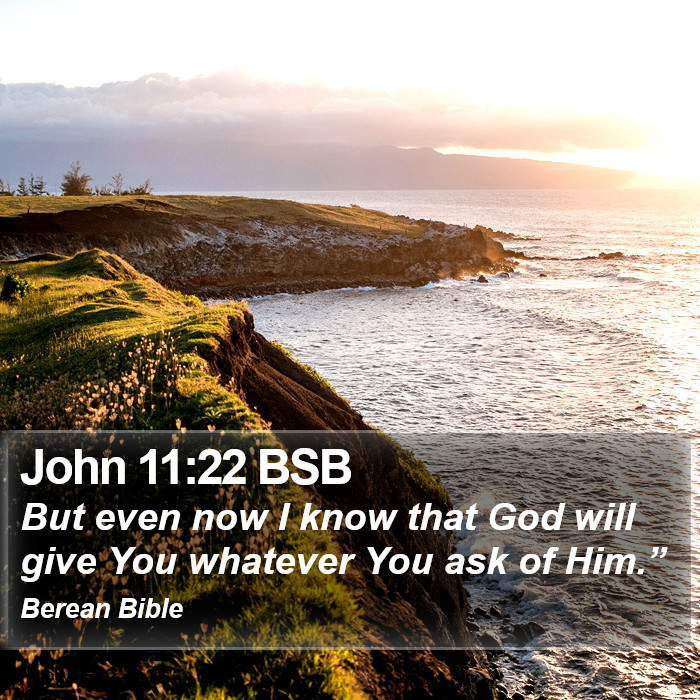 John 11:22 BSB Bible Study