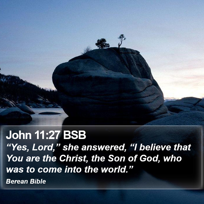 John 11:27 BSB Bible Study