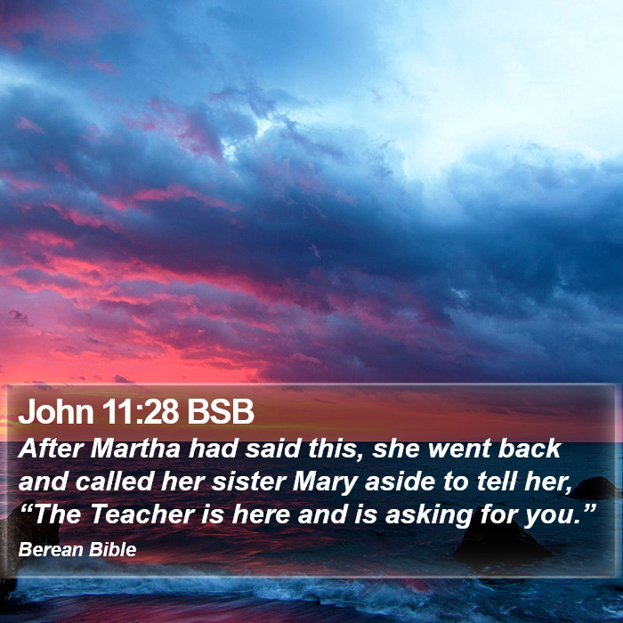 John 11:28 BSB Bible Study