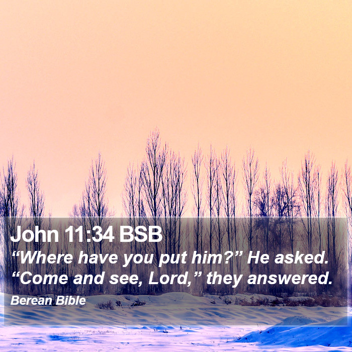 John 11:34 BSB Bible Study