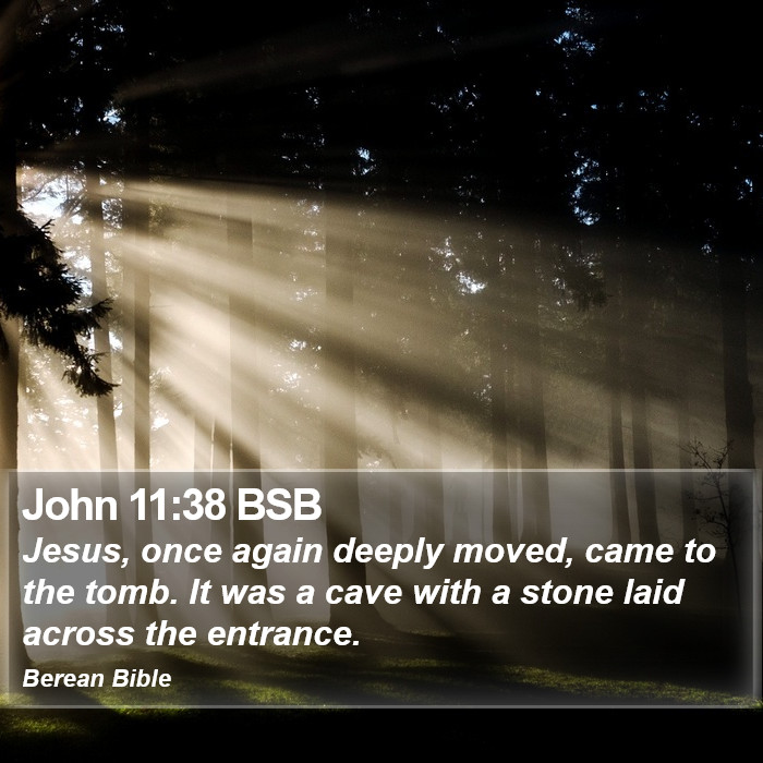 John 11:38 BSB Bible Study