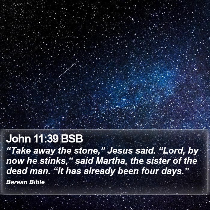 John 11:39 BSB Bible Study