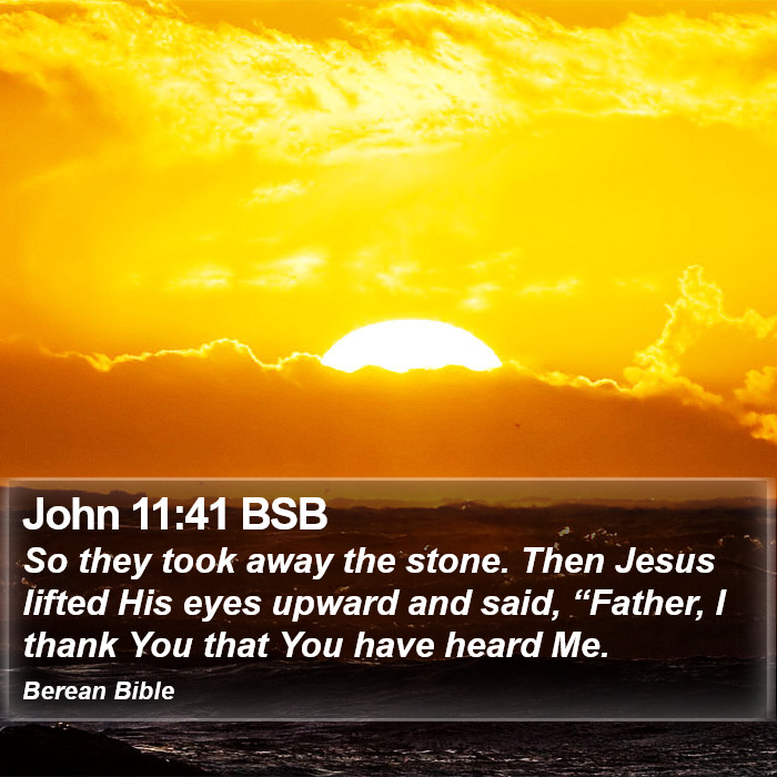 John 11:41 BSB Bible Study