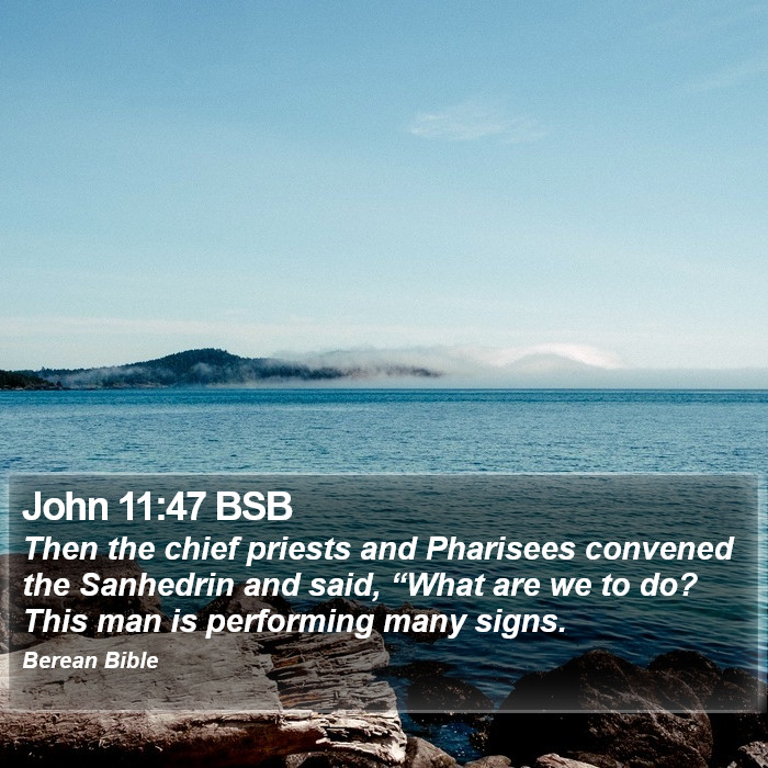 John 11:47 BSB Bible Study