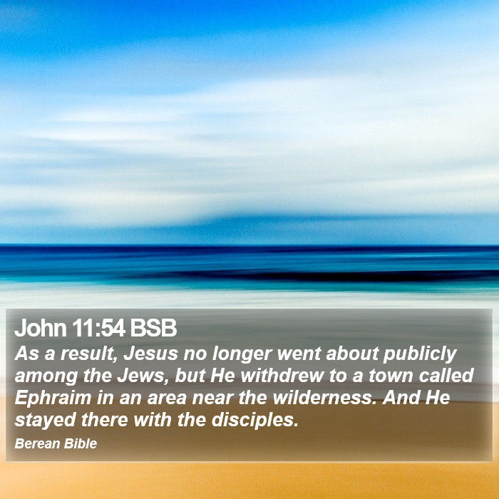 John 11:54 BSB Bible Study