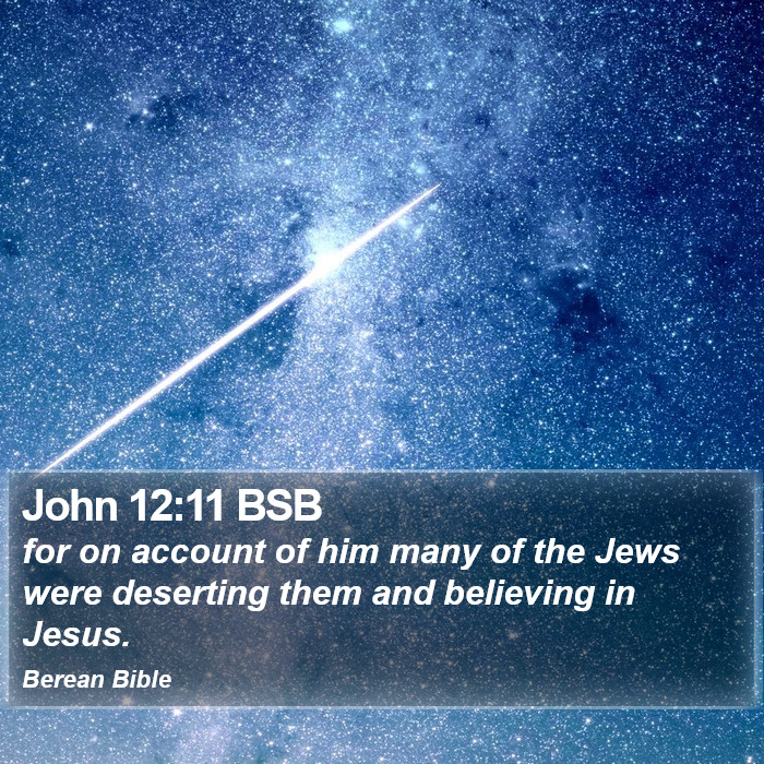 John 12:11 BSB Bible Study