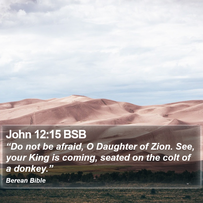 John 12:15 BSB Bible Study