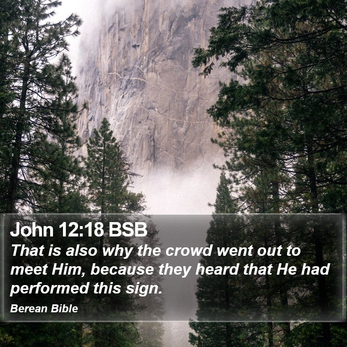 John 12:18 BSB Bible Study