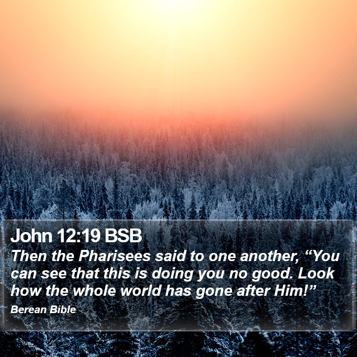 John 12:19 BSB Bible Study