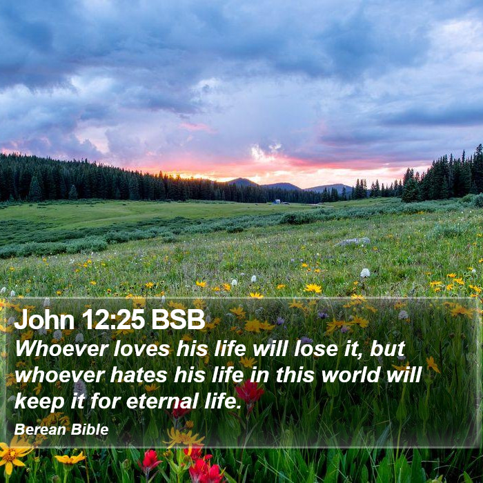 John 12:25 BSB Bible Study