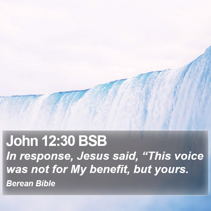 John 12:30 BSB Bible Study