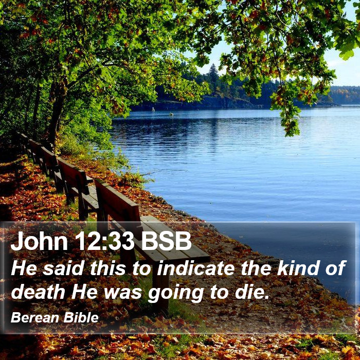 John 12:33 BSB Bible Study