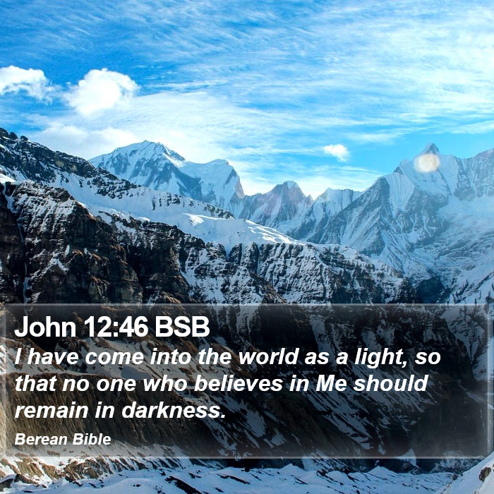 John 12:46 BSB Bible Study