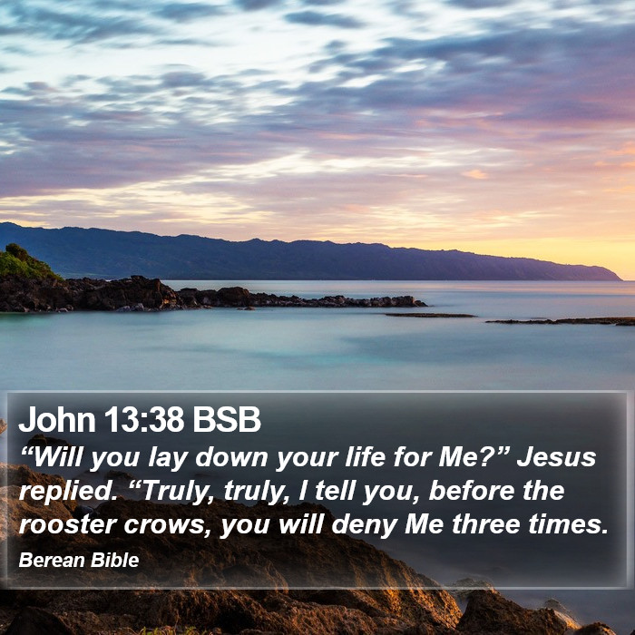 John 13:38 BSB Bible Study