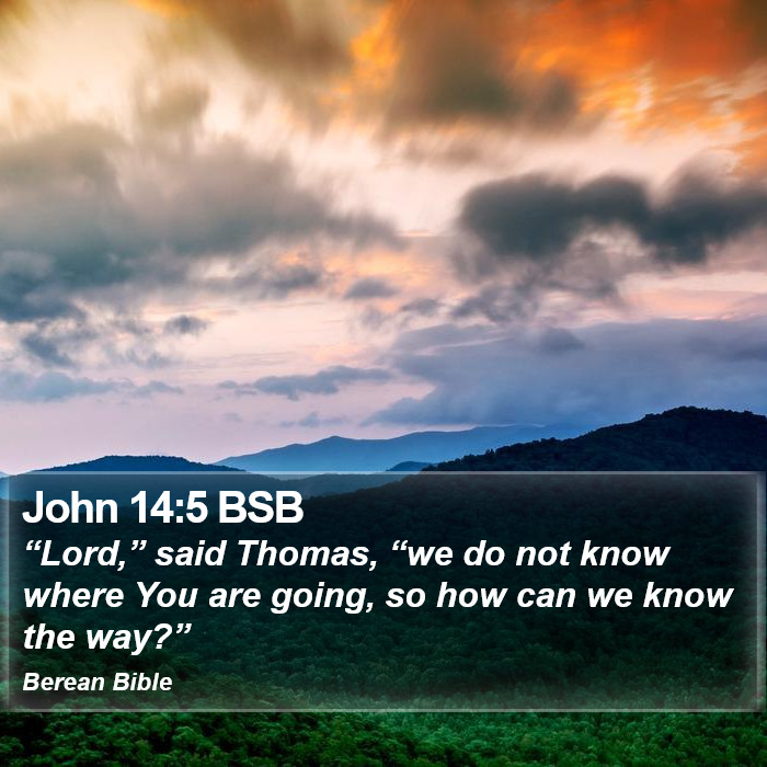 John 14:5 BSB Bible Study