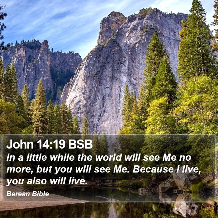 John 14:19 BSB Bible Study