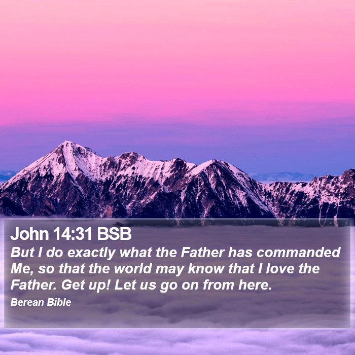 John 14:31 BSB Bible Study