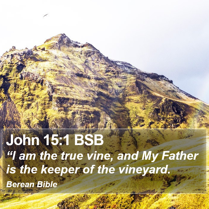 John 15:1 BSB Bible Study