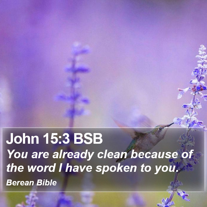 John 15:3 BSB Bible Study