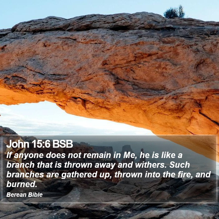 John 15:6 BSB Bible Study