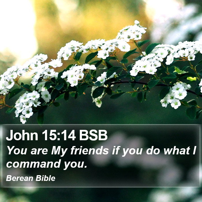 John 15:14 BSB Bible Study