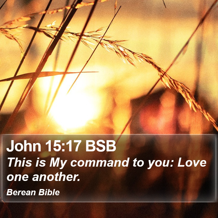 John 15:17 BSB Bible Study