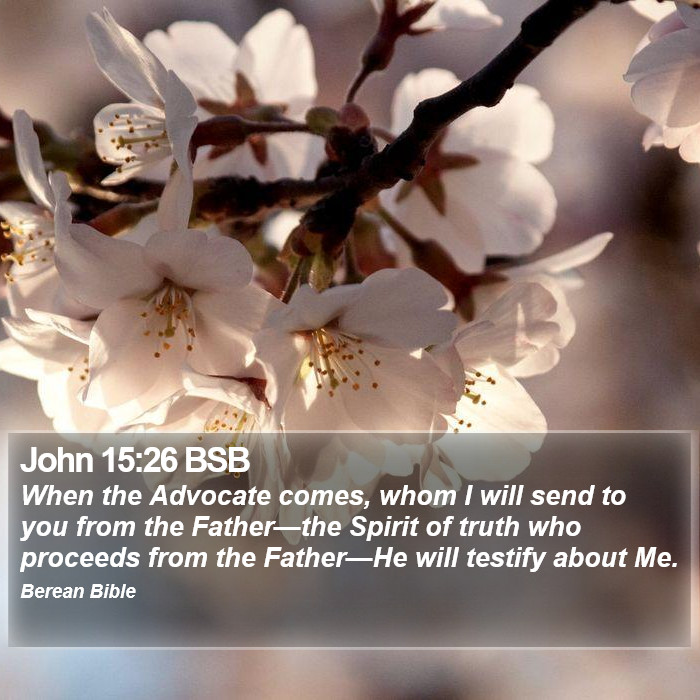 John 15:26 BSB Bible Study