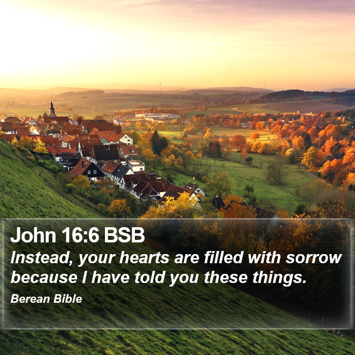 John 16:6 BSB Bible Study