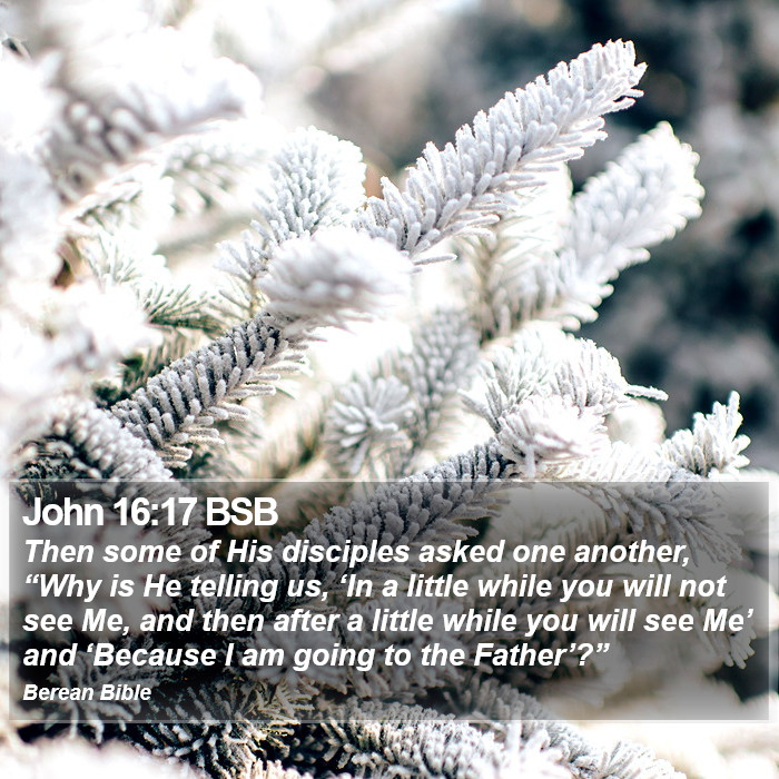 John 16:17 BSB Bible Study