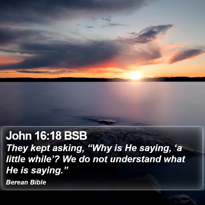 John 16:18 BSB Bible Study