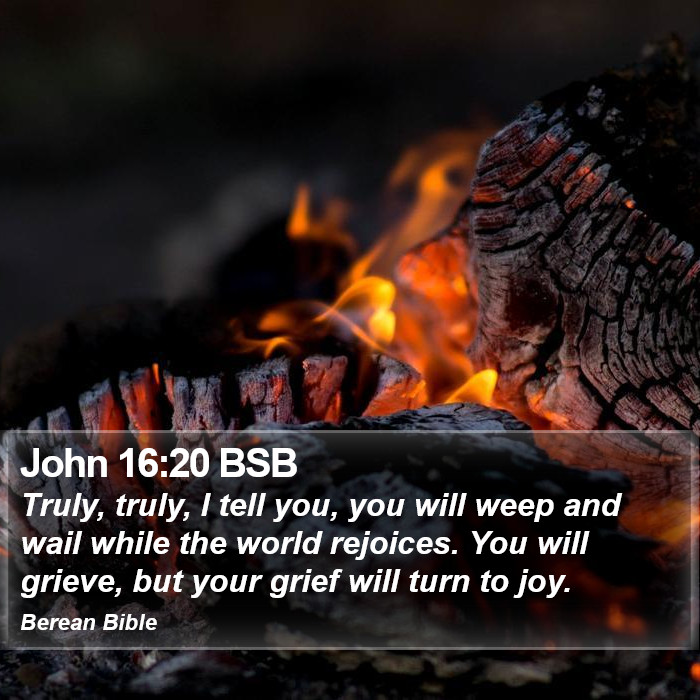 John 16:20 BSB Bible Study