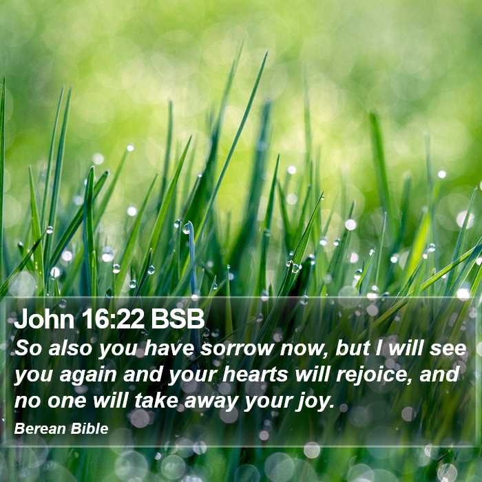 John 16:22 BSB Bible Study