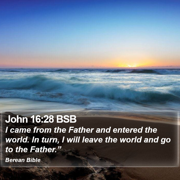 John 16:28 BSB Bible Study