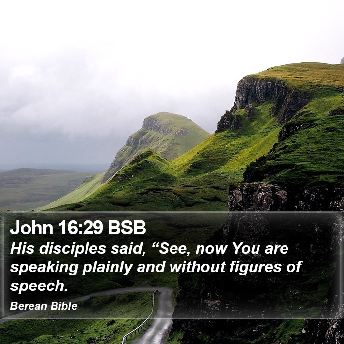 John 16:29 BSB Bible Study