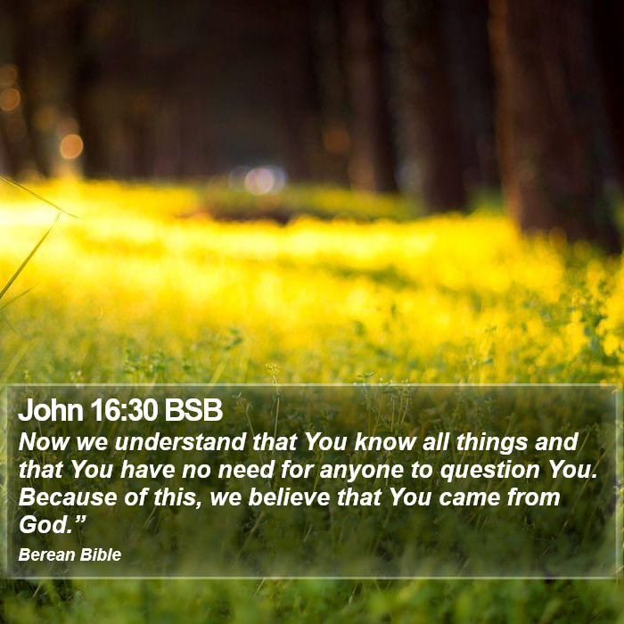 John 16:30 BSB Bible Study