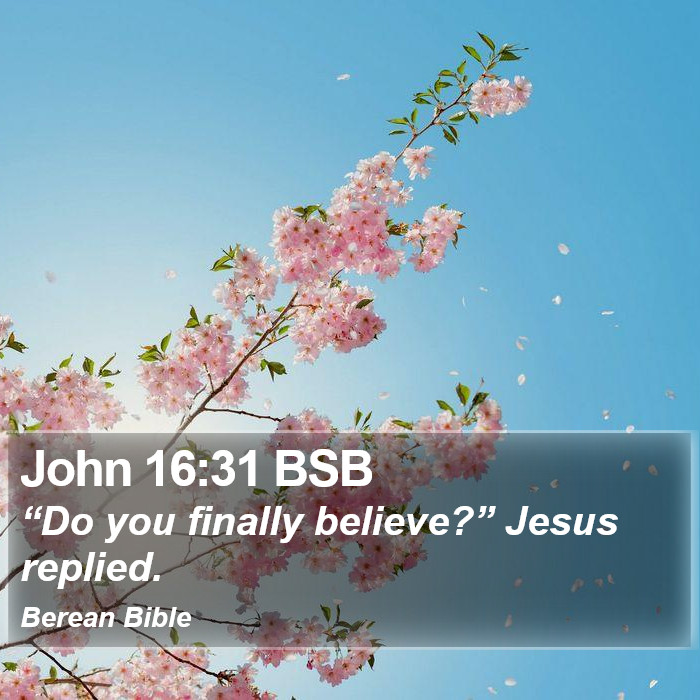 John 16:31 BSB Bible Study