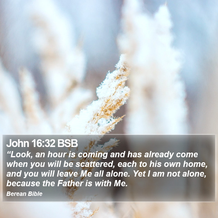 John 16:32 BSB Bible Study