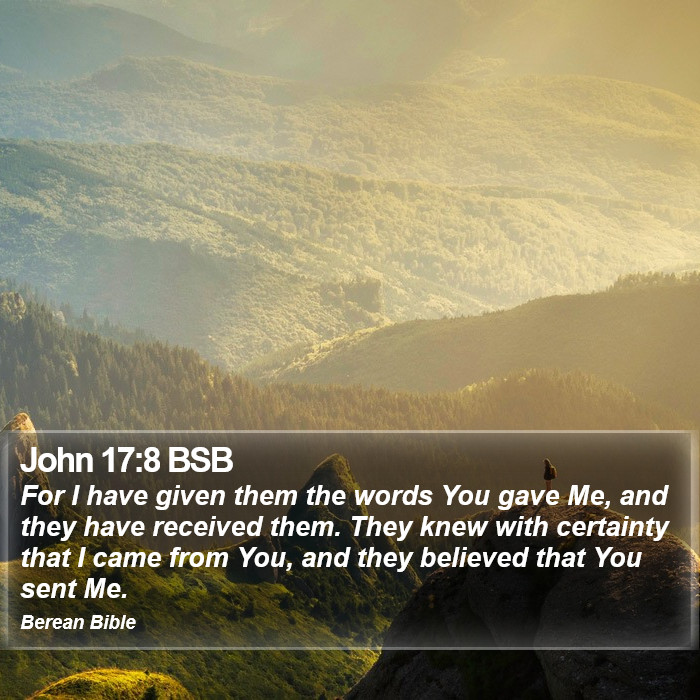 John 17:8 BSB Bible Study