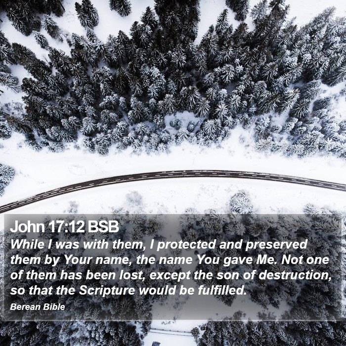 John 17:12 BSB Bible Study