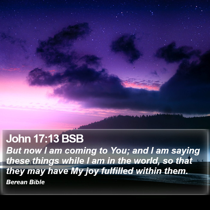 John 17:13 BSB Bible Study