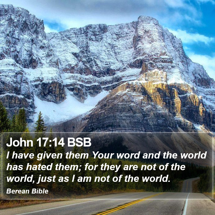 John 17:14 BSB Bible Study