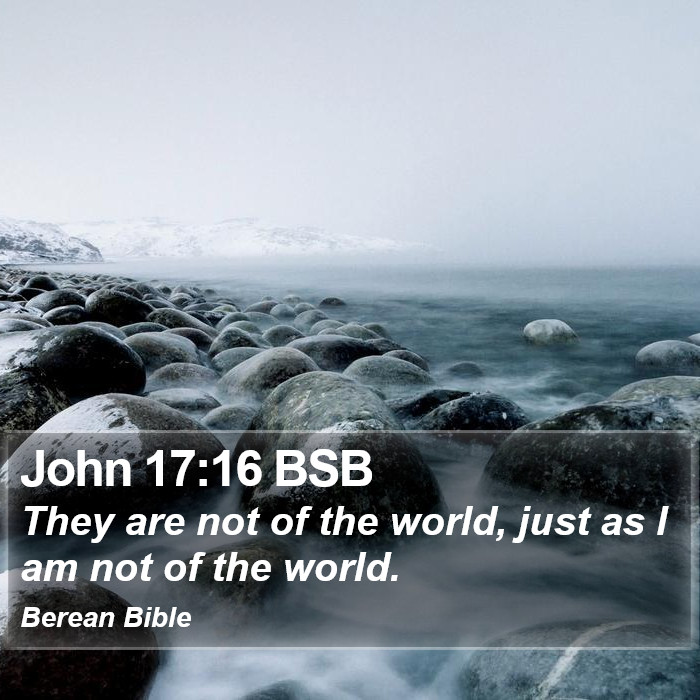 John 17:16 BSB Bible Study