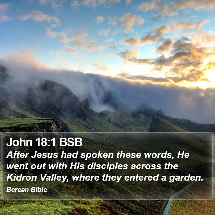 John 18:1 BSB Bible Study