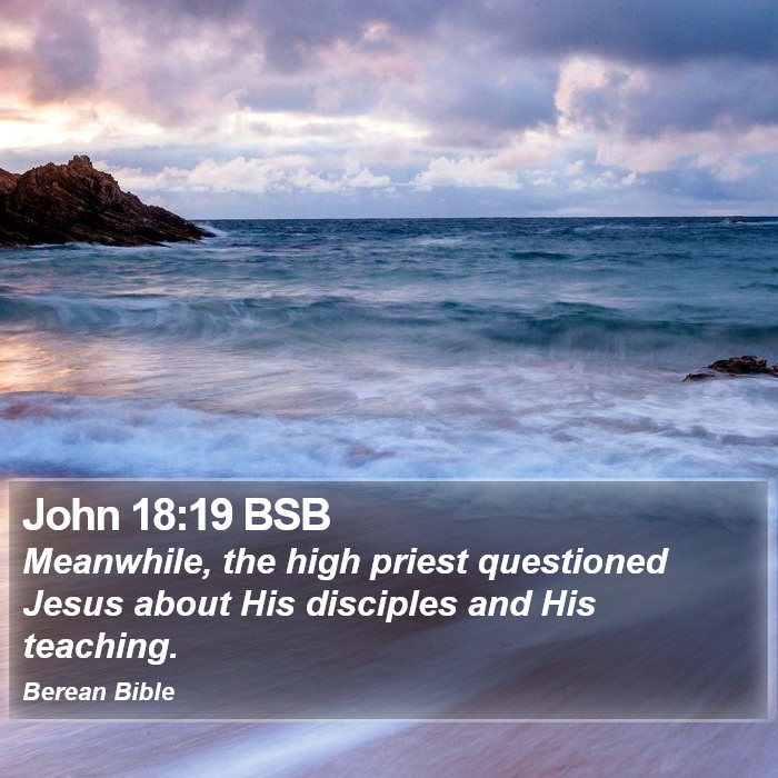 John 18:19 BSB Bible Study