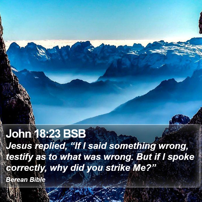 John 18:23 BSB Bible Study