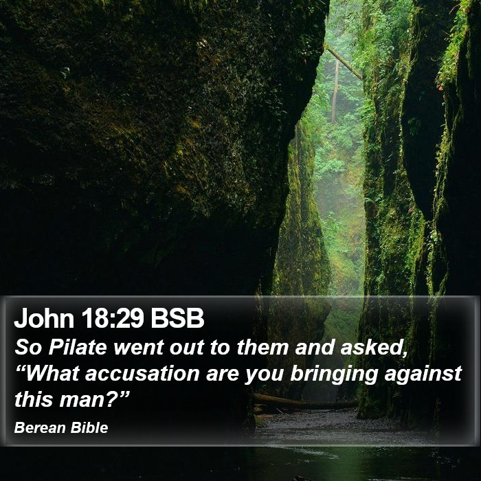 John 18:29 BSB Bible Study