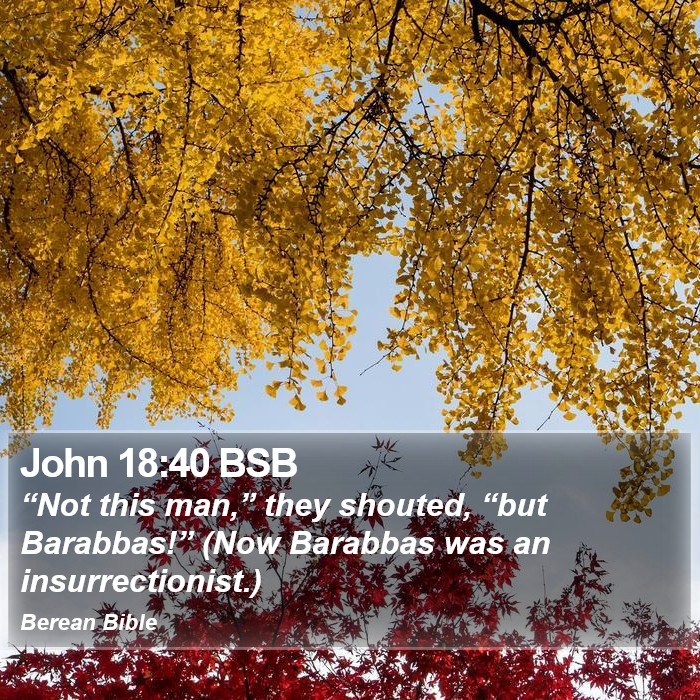 John 18:40 BSB Bible Study