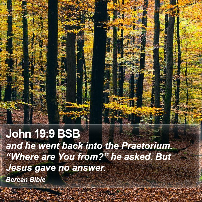 John 19:9 BSB Bible Study