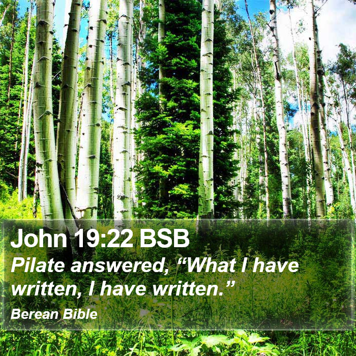 John 19:22 BSB Bible Study