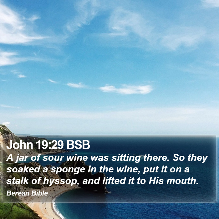 John 19:29 BSB Bible Study